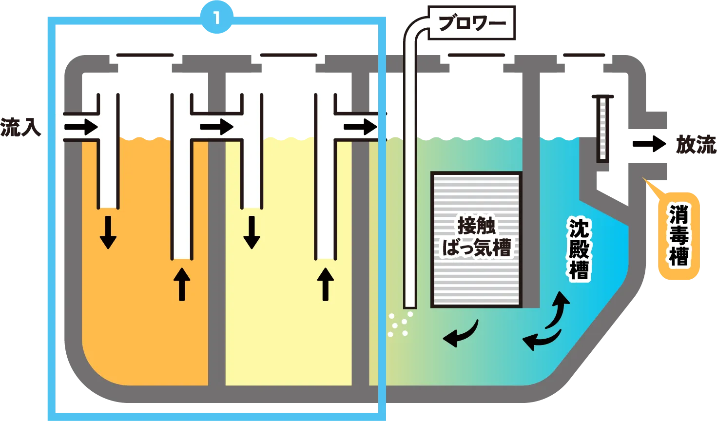 浄化槽の構造図（沈殿分離槽）