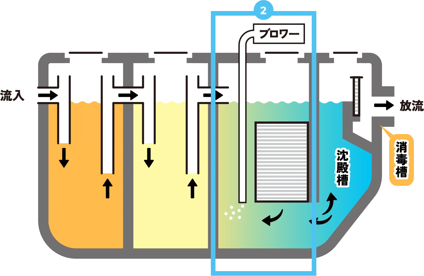 浄化槽の構造図（接触ばっ気槽）